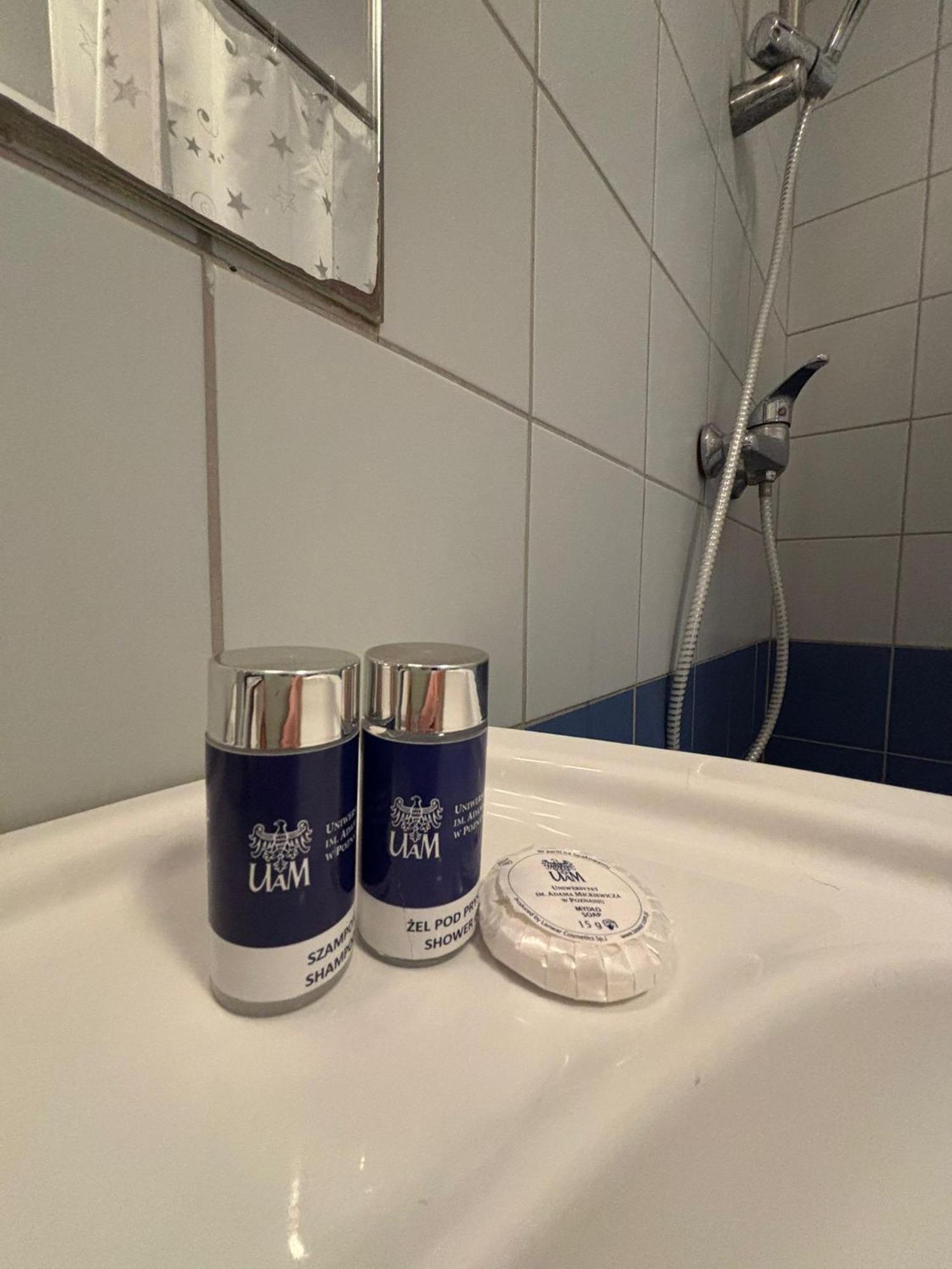 Dom Akademicki Przy Ulicy Nieszawskiej * Poznan